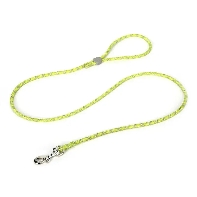 Laisse pour chien Truelove sécurité and style jaune argenté, accessoires pour chien élégants