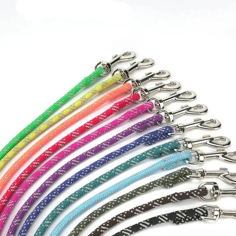 Laisse pour chien Truelove sécuritaire et stylée avec couleurs vives et clips métalliques