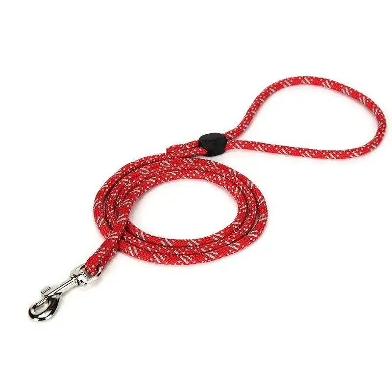 Laisse pour chien Truelove jaune argenté avec corde rouge et argentée, accessoires pour chien élégants