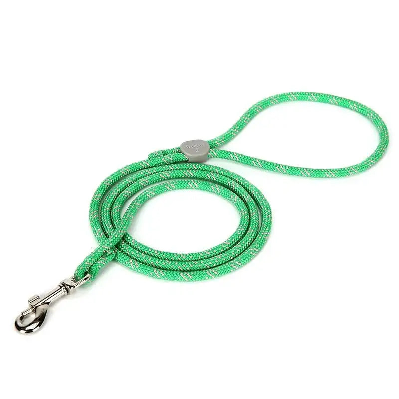 Laisse pour chien Truelove en corde verte, accessoire pour chien sécurisé et élégant