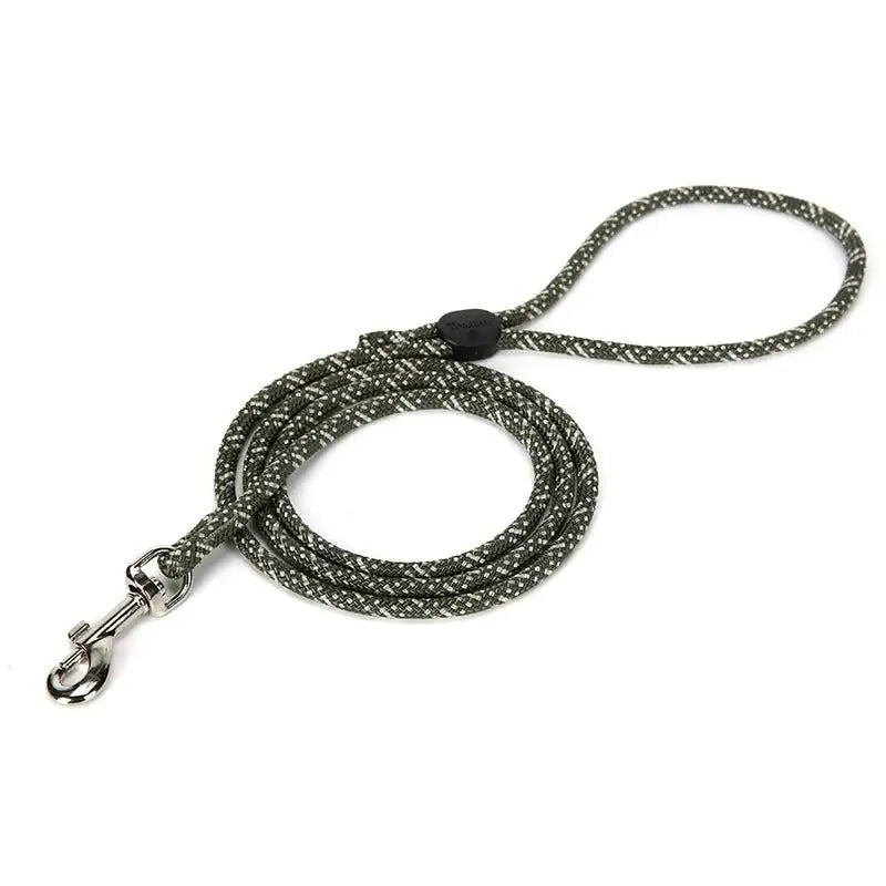 Laisse pour chien Truelove avec boucle et tresse, style et sécurité pour accessoires pour chien