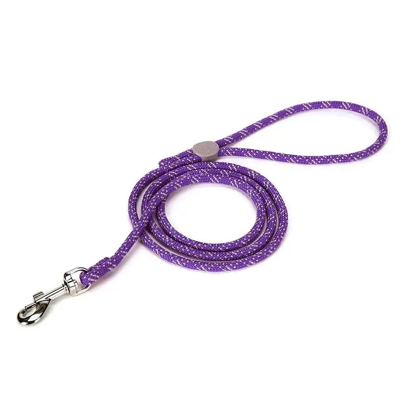 Laisse pour chien Truelove en corde violet et argenté, accessoires pour chien élégants