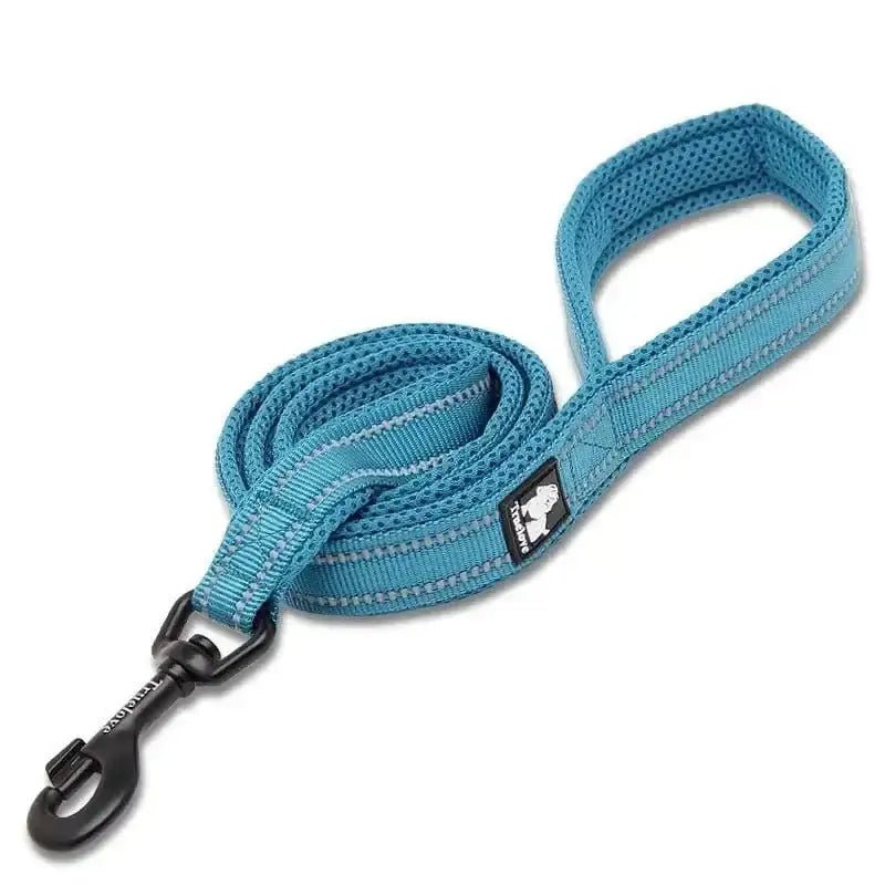 Laisse courte Truelove pour chien avec poignée rembourrée antiglisse, en corde bleue