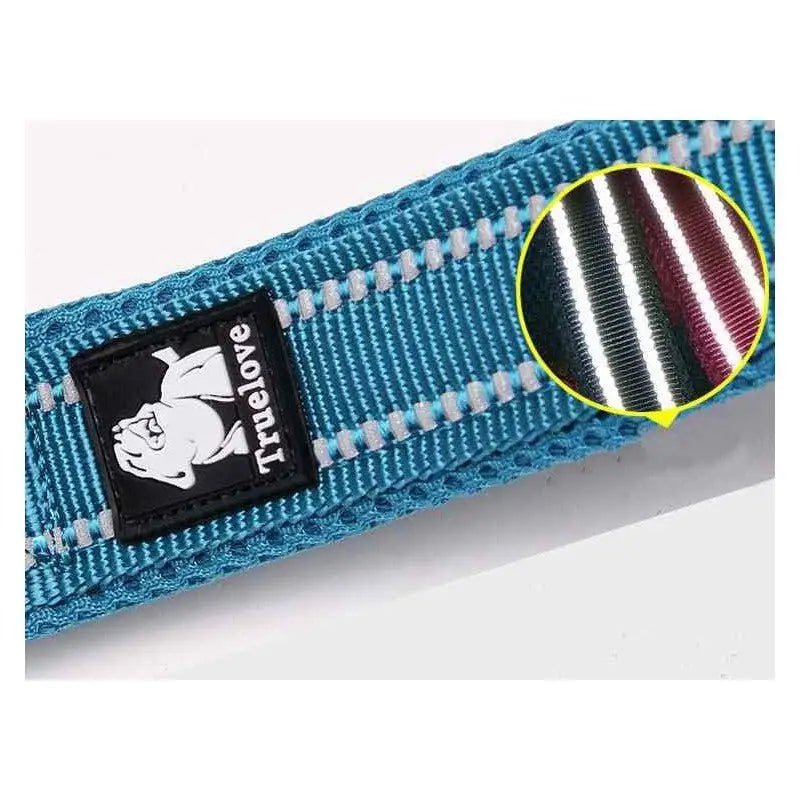 Collier pour chien bleu avec accents réfléchissants, idéal avec laisse Truelove robuste