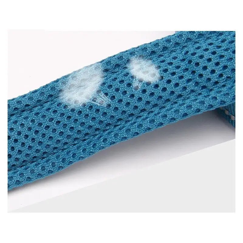 Laisse courte Truelove pour chien en maille bleue résistante avec poignée rembourrée confortable