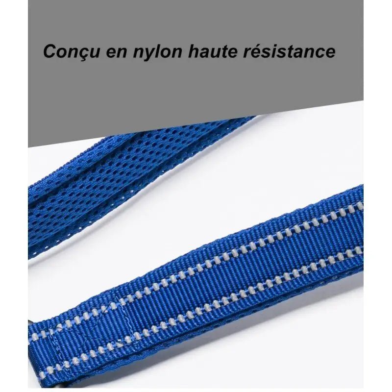 Laisse courte Truelove avec poignée rembourrée antiglisse, nylon bleu avec reflechissants