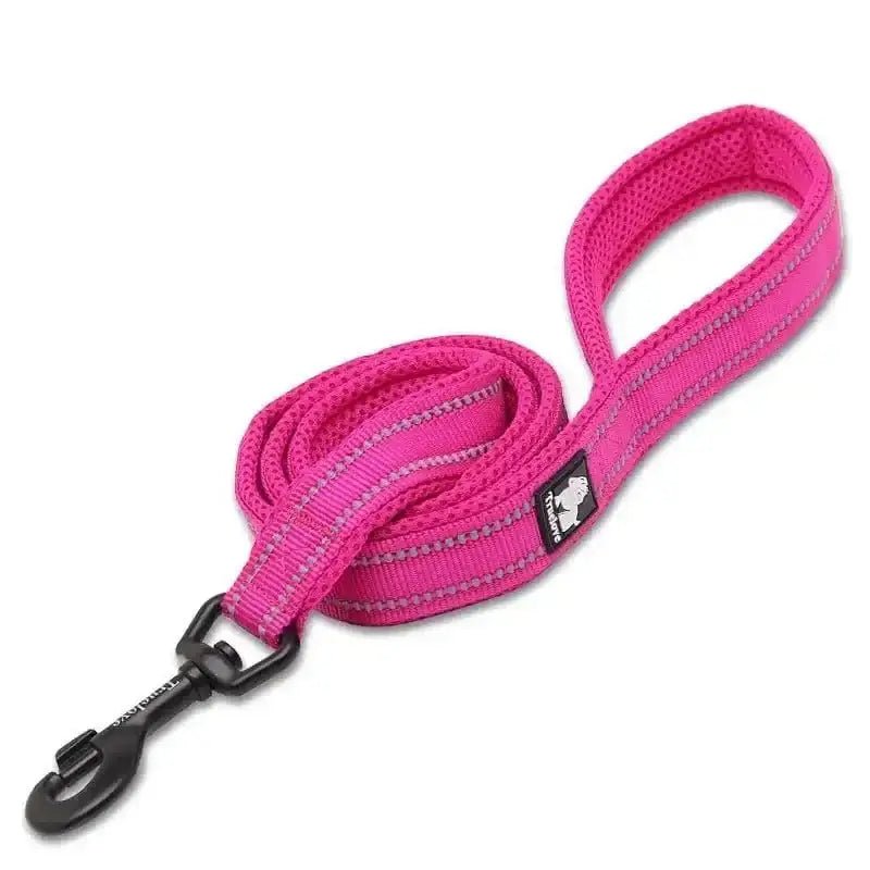 Photo d’une laisse courte Truelove robuste pour usage quotidien, en rose avec clip noir