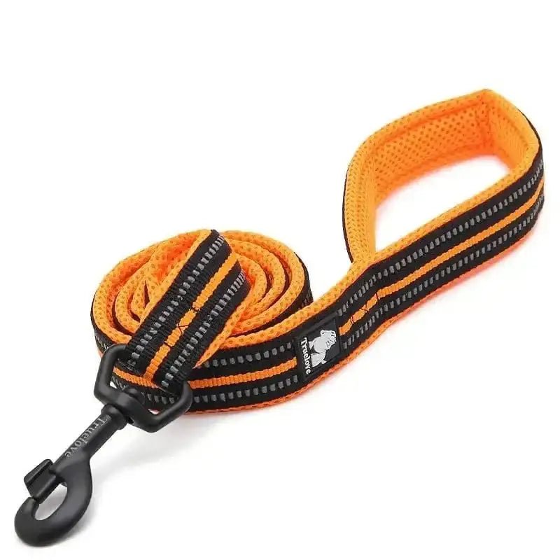 Laisse courte Truelove pour chien avec poignée rembourrée antiglisse, orange et noire