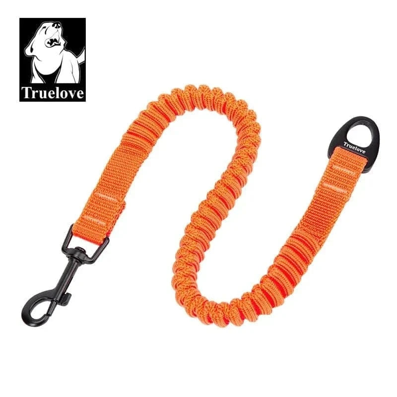Laisse élastique orange en nylon souple avec alliage d’aluminium pour chien marche