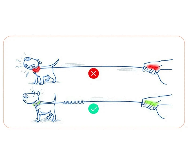 Comparaison de leashes élastiques avec nylon souple et alliage d’aluminium pour Marche et Coureur