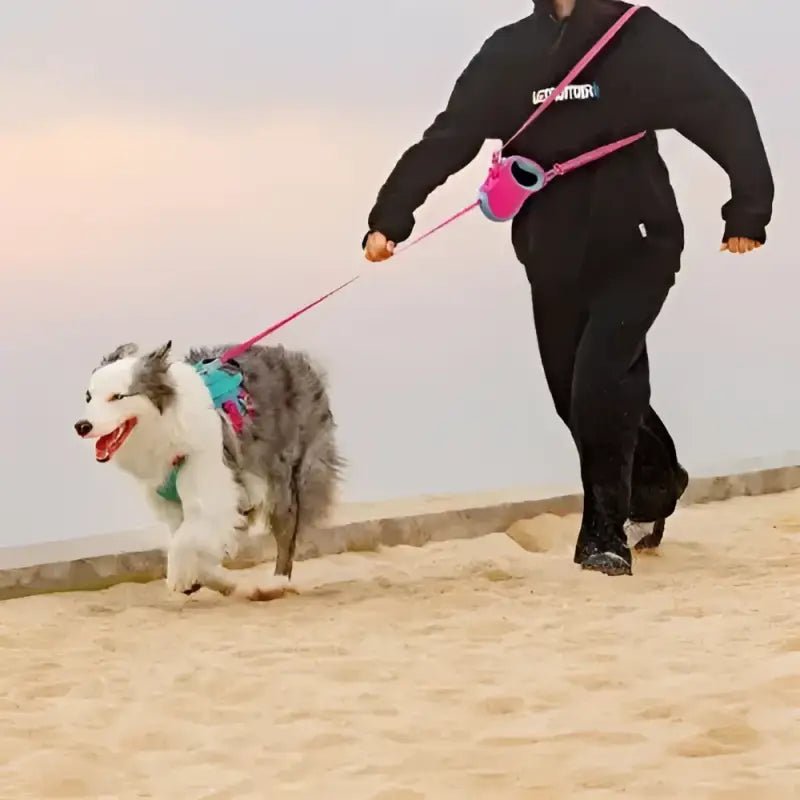 Laisse enrouleur pour chien Truelove avec poignée ergonomique et sac à friandises