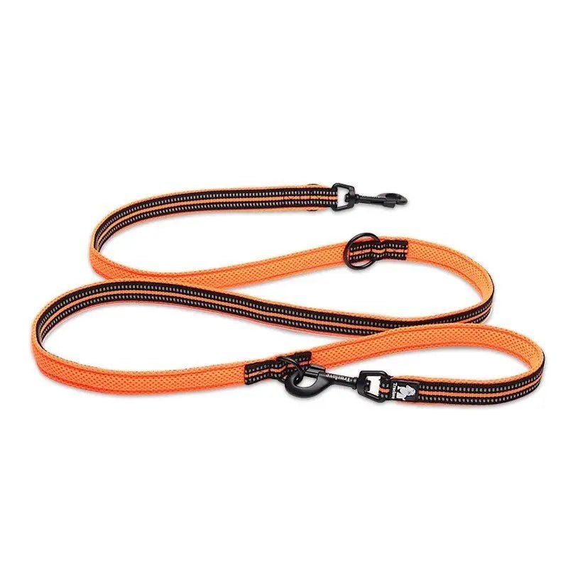 Laisse multifonction Truelove pour chien 7 en 1 avec double mousqueton et accents noirs