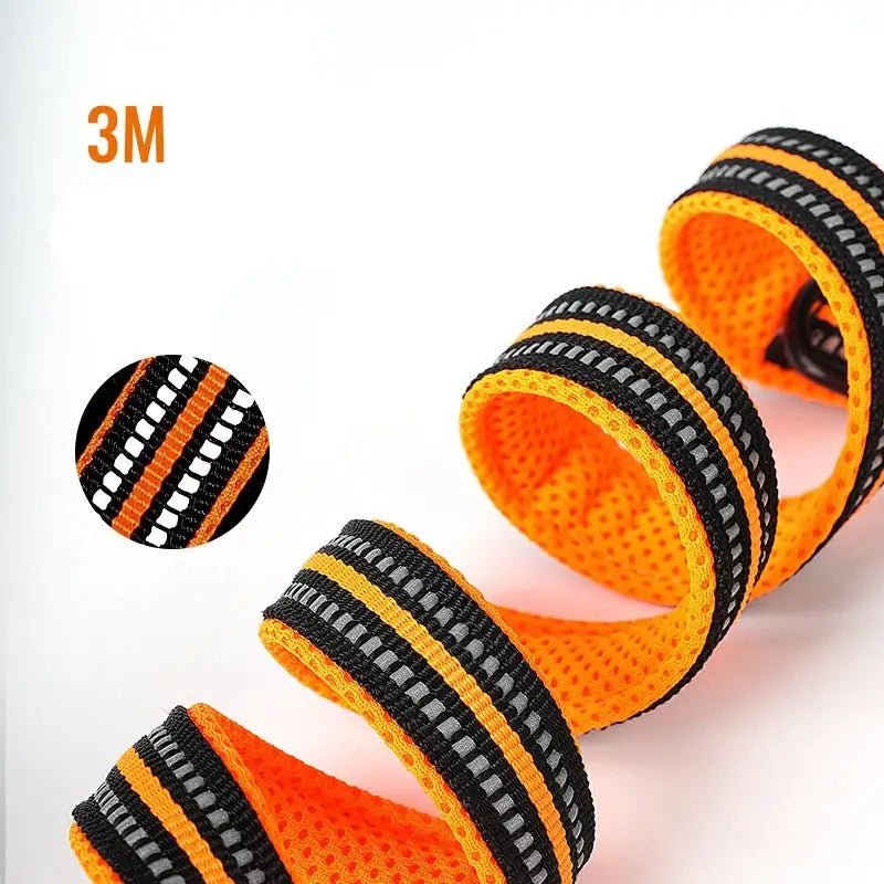 Laisse multifonction Truelove pour chien 7 en 1 avec double mousqueton, reflectante