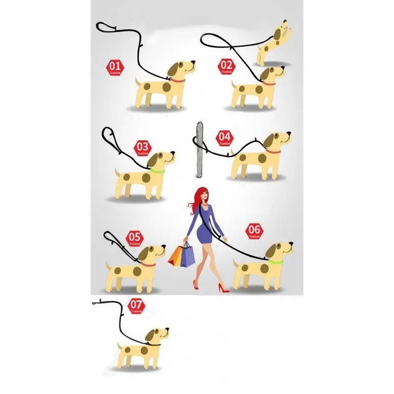 Guide d’utilisation de la laisse multifonction Truelove avec double mousqueton pour chien actif