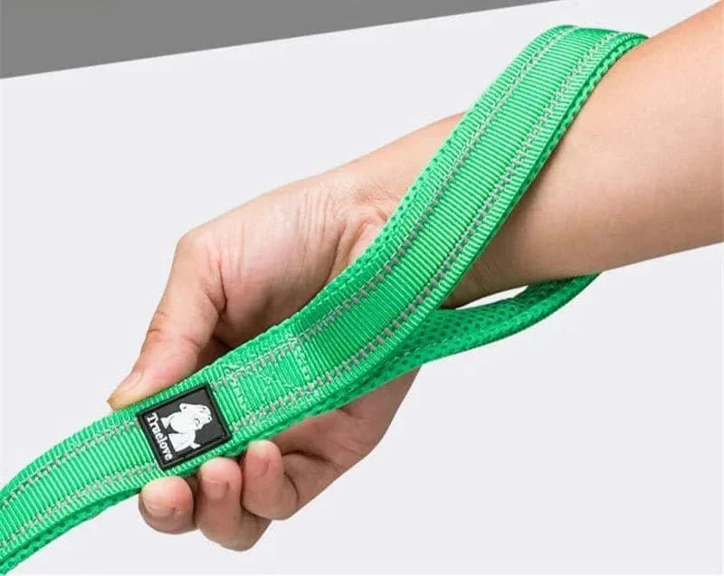 Laisse Truelove en nylon vert avec maille douce et coutures réfléchissantes