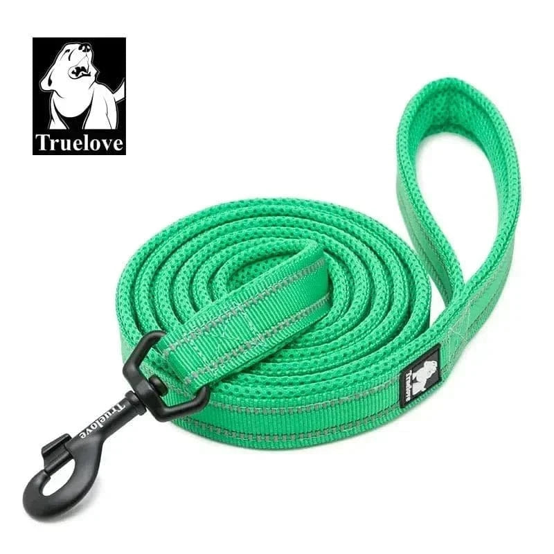 Laisse Truelove vert nylon maille douce avec clips métal et coutures réfléchissantes