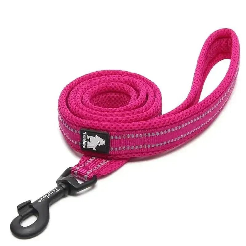 Laisse Truelove pour chien solide et confortable avec corde rose et clip noir