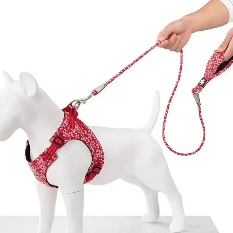 Laisse Truelove confortable pour balade quotidienne avec poignée rembourrée douce et design floral