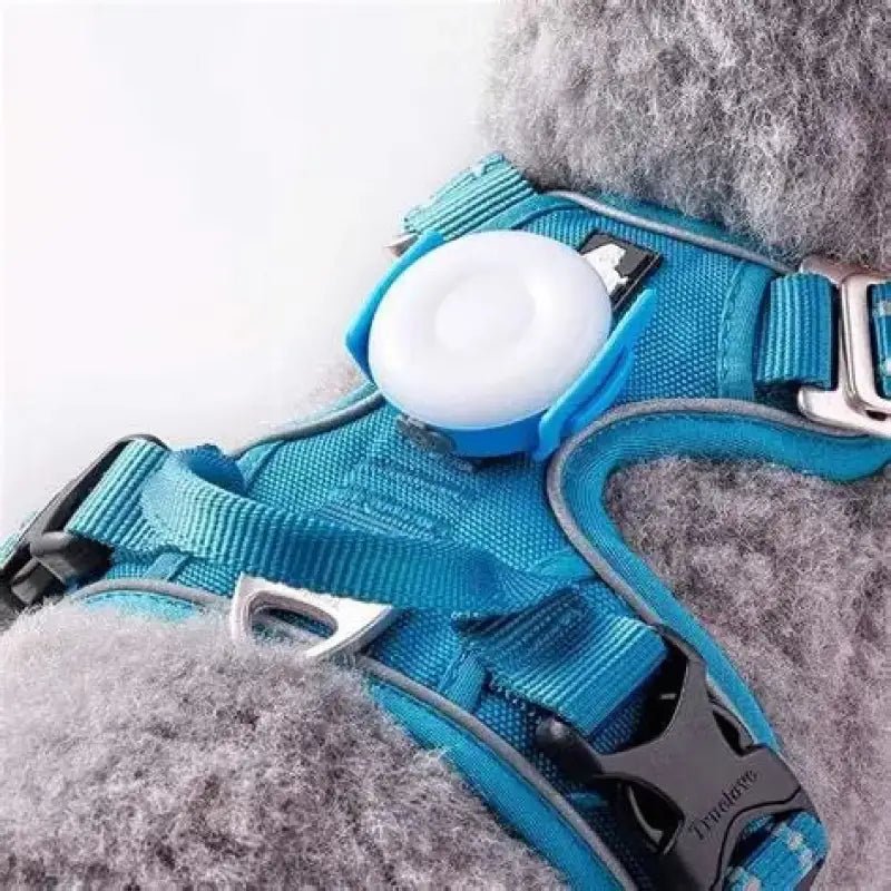 Harnais pour chien bleu avec lampe led Truelove étanche et rechargeable