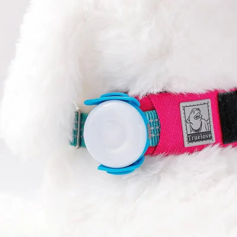 Harnais pour chien rose avec lampe LED Truelove étanche et rechargeable en action