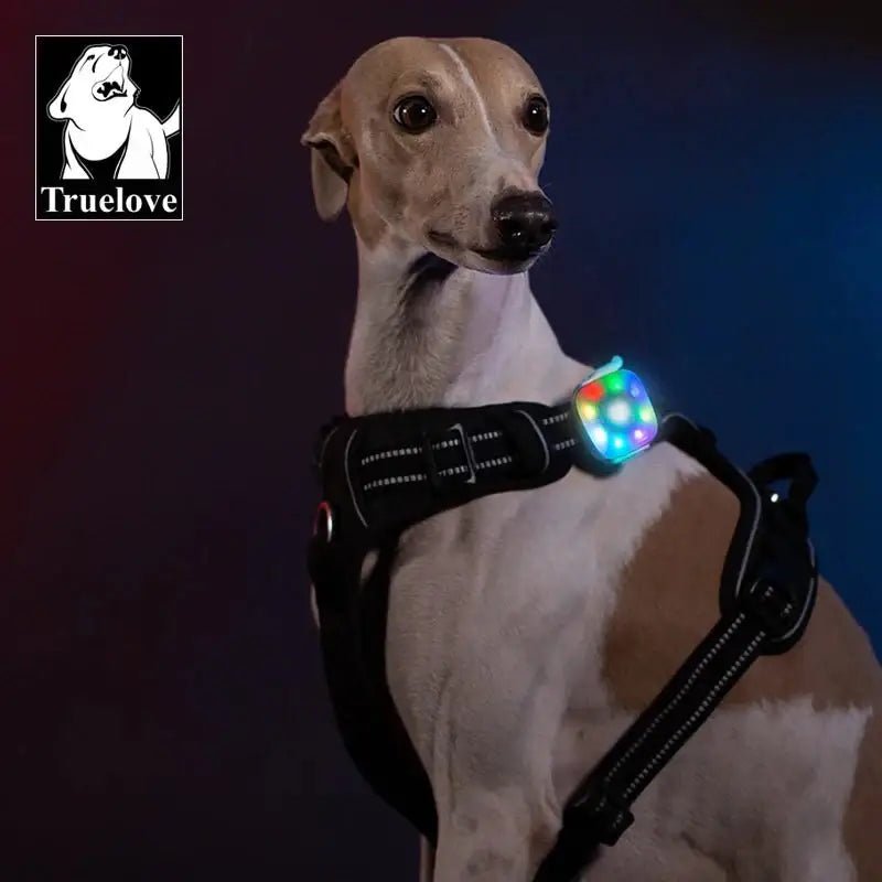 Lampe LED Truelove pour harnais avec LED coloré, rechargeable et étanche pour chien