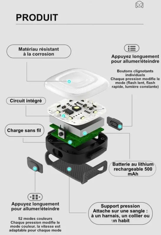 Lampe LED Truelove pour harnais et colliers, rechargeable, étanche, avec modes lumineux