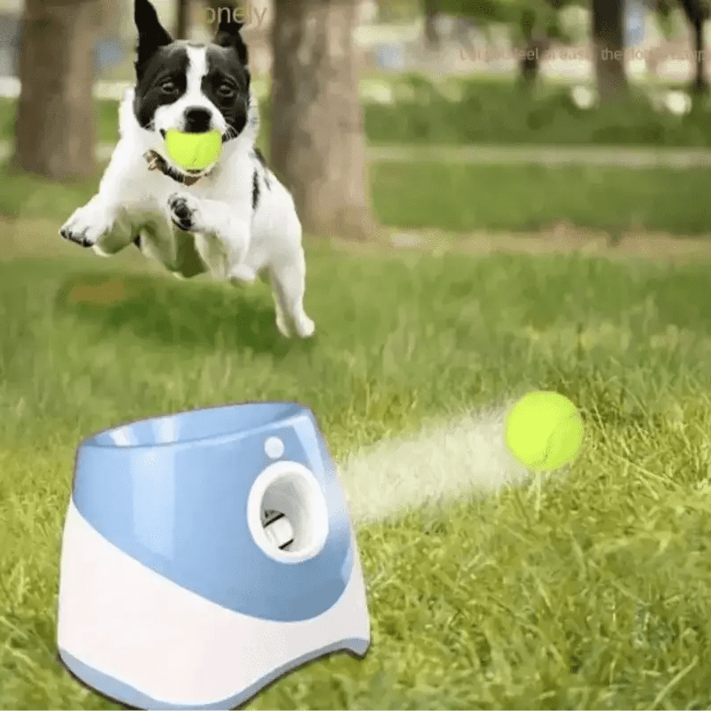 Image d’un lanceur automatique pour chien, distributeur de balle pensé pour chiens dynamiques