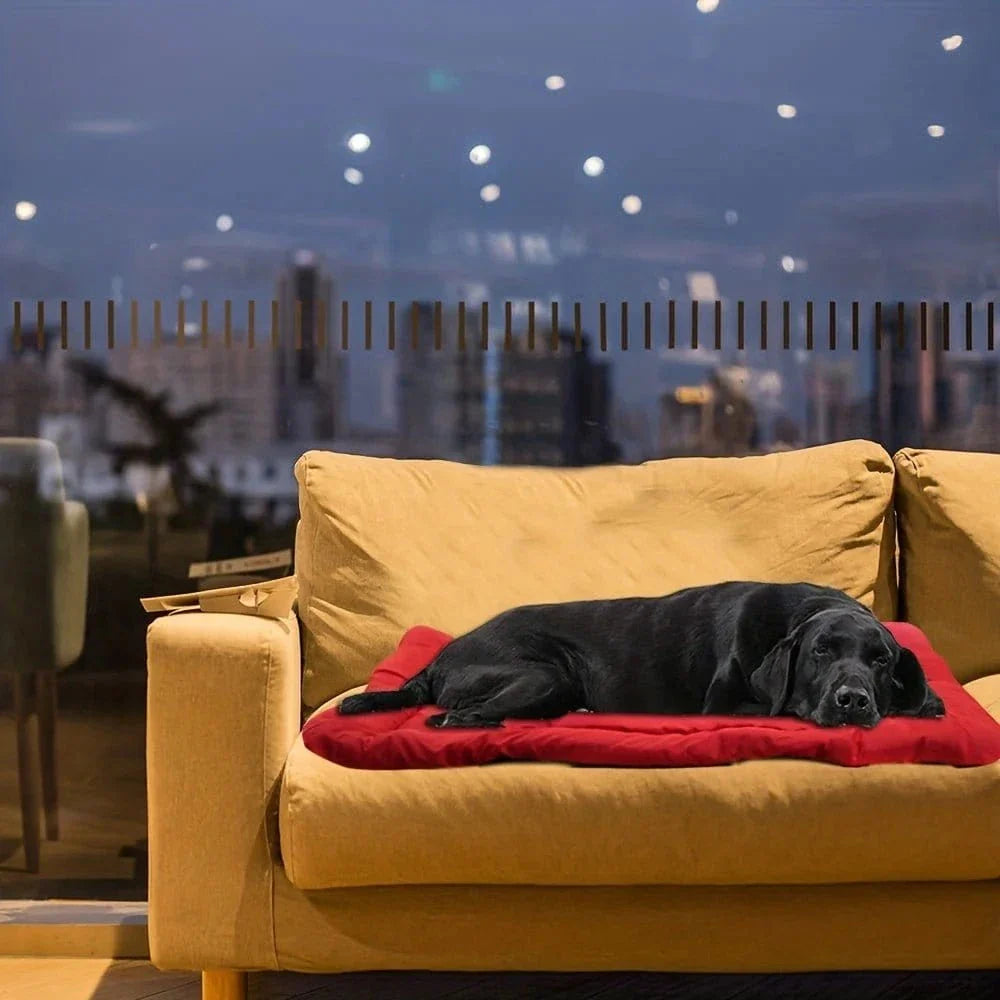 Chien noir dormant sur lit pliable rouge en tissu écologique facile à entretenir