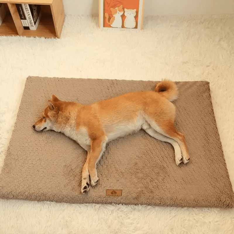 Lit Orthopédique à Mémoire de Forme - Khaki - M 58x40cm Chien - de 7kg
