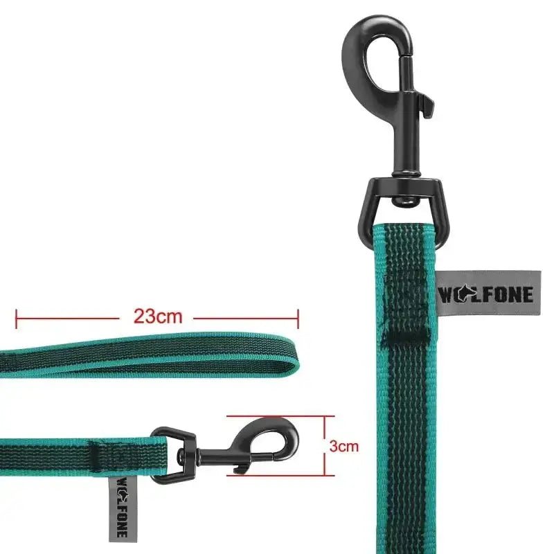 Longe de rappel pour chien verte et noire avec clip métallique, idéale pour promenade libre