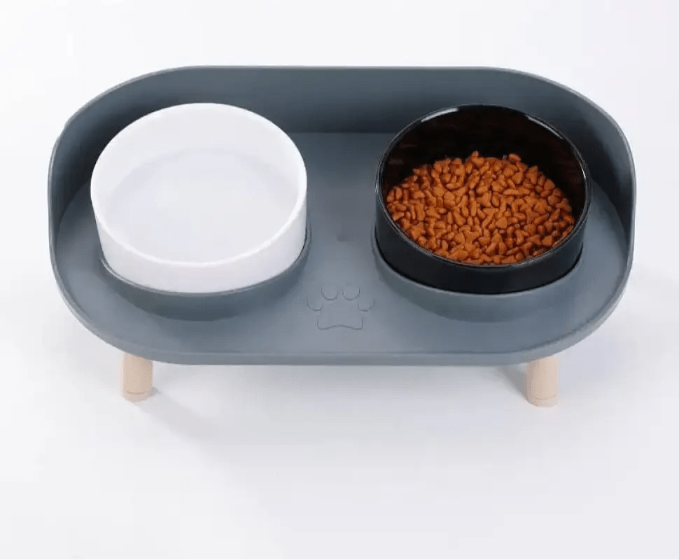Photo d’une mangeoire surélevée pour chien moderne et design avec deux bols, accessoires pour chien