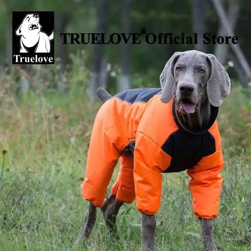 Manteau pour chien Truelove Arctique réversible et imperméable sur un chien Weimaraner