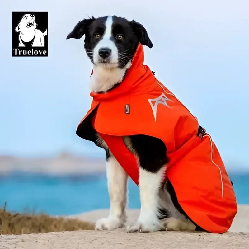 Manteau pour chien Truelove Sortland avec doublure Thinsulate™, noir et orange
