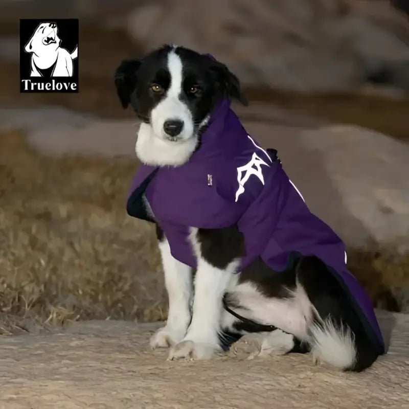 Manteau pour chien Truelove Sortland avec doublure Thinsulate™, noir et blanc, chaud