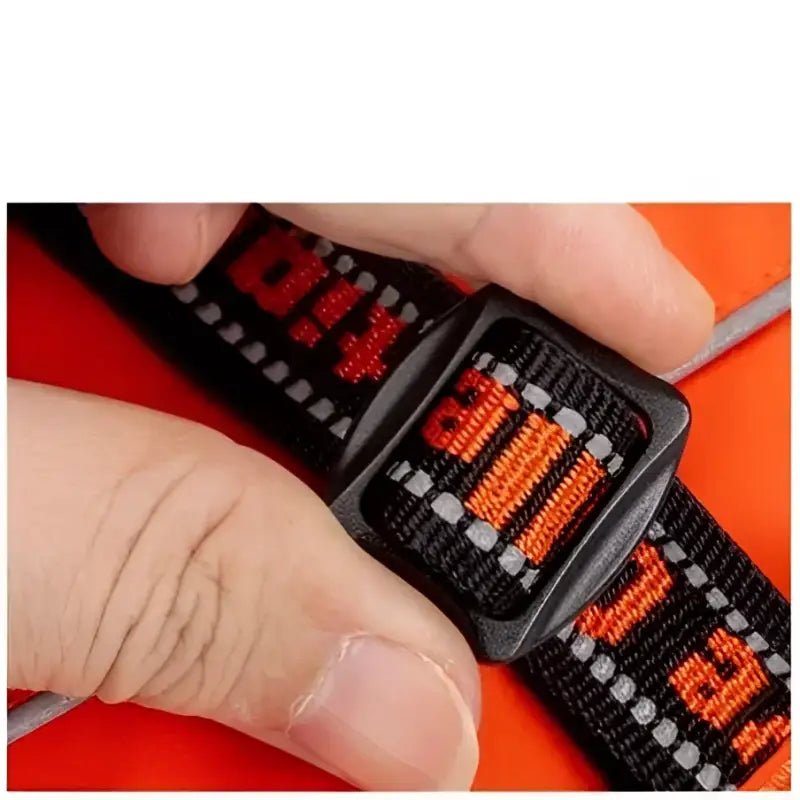 Ceinture noire avec couture réfléchissante et lettering orange pour chien Truelove Sortland