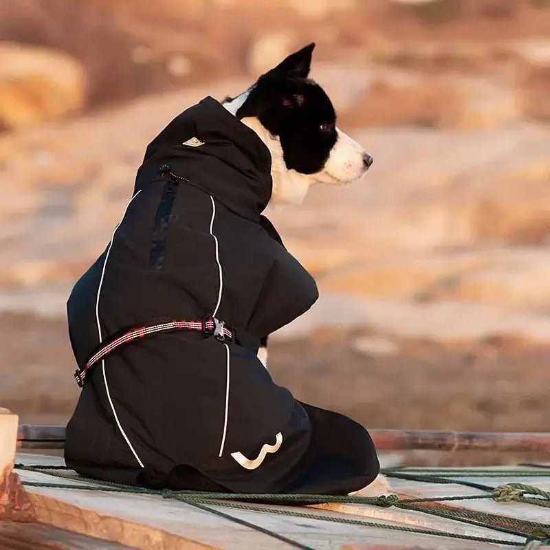 Manteau imperméable pour chien Truelove avec bandes réfléchissantes, noir avec piping blanc