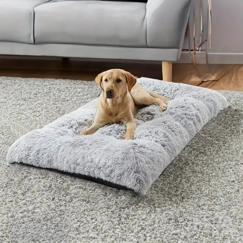 Tapis gris moelleux pour grand chien, matelas orthopédique pour chien grande taille