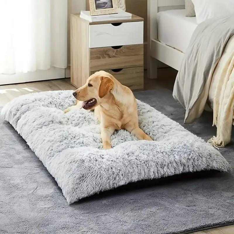 Coussin confortable pour grand chien, matelas orthopédique pour chien grande taille intérieur