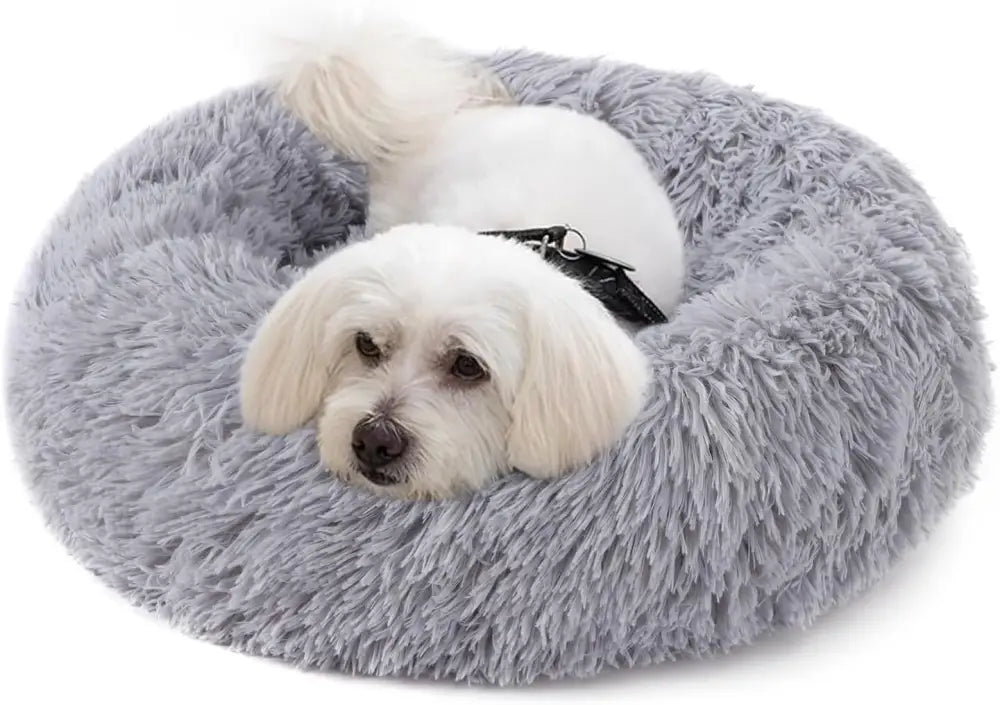 Panier cocooning pour chien adulte en mousse orthopédique et coussin apaisant pour petit chien