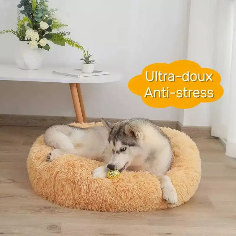 Panier cocooning pour chien adulte avec husky, coussin apaisant pour petit chien