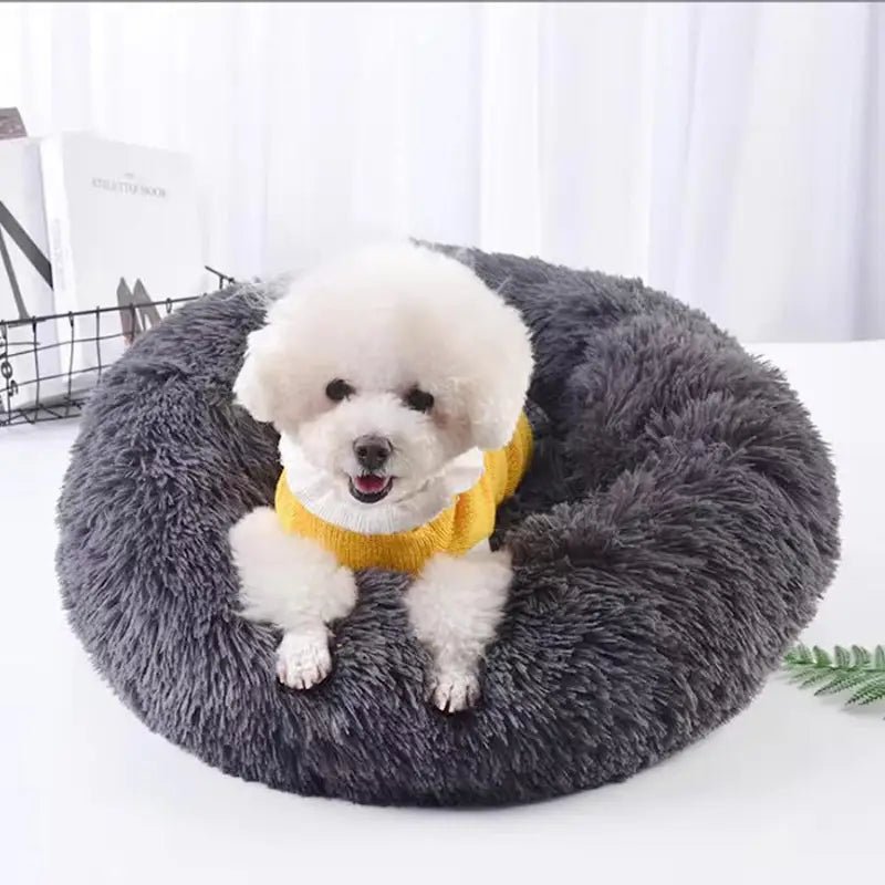 Panier cocooning pour chien adulte avec coussin apaisant, idéal pour petit chien