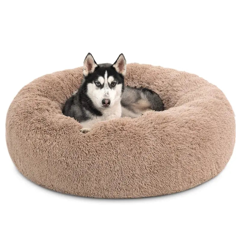 Panier cocooning pour chien adulte avec husky, coussin apaisant pour petit chien