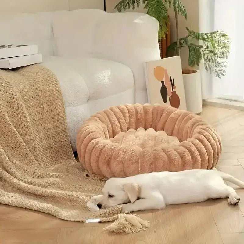 Panier apaisant pour petit chien, lit donut en forme de beignet pour chien