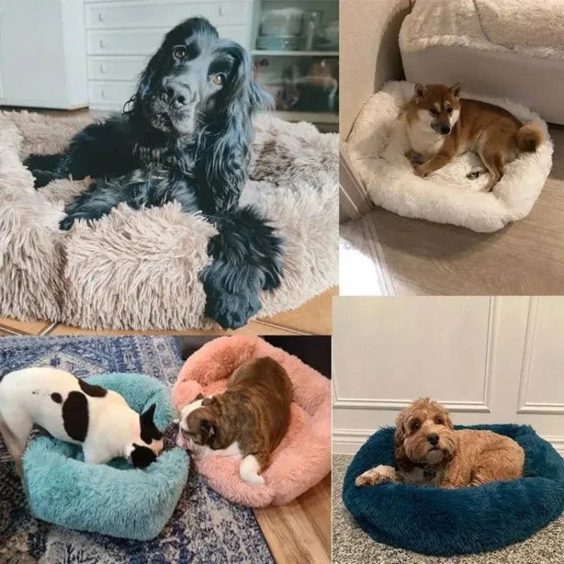 Chiens dans un Panier en Peluche tout Confort avec design sobre et base antidérapante