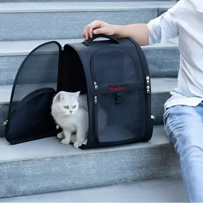 Sac à dos pour chien Truelove chic avec fenêtre en mesh, respirant et sécurisé