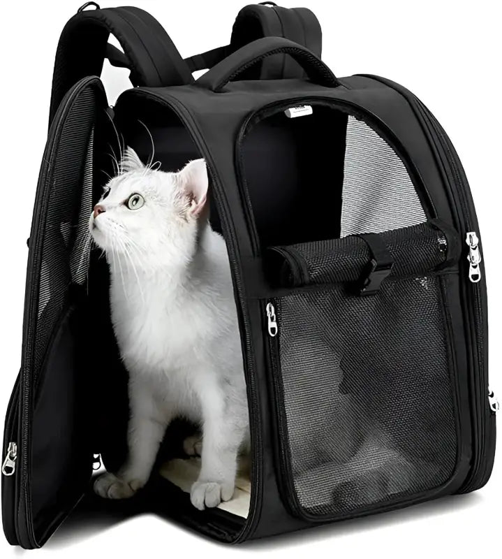Sac à dos pour chien Truelove chic avec tissu résistant, porte-chat blanc à l’intérieur