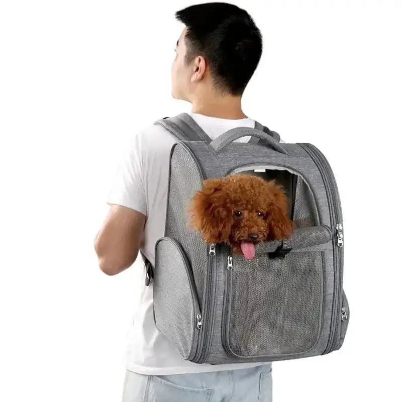 Sac à dos pour chien Truelove chic, tissu résistant, transport stylé et confortable