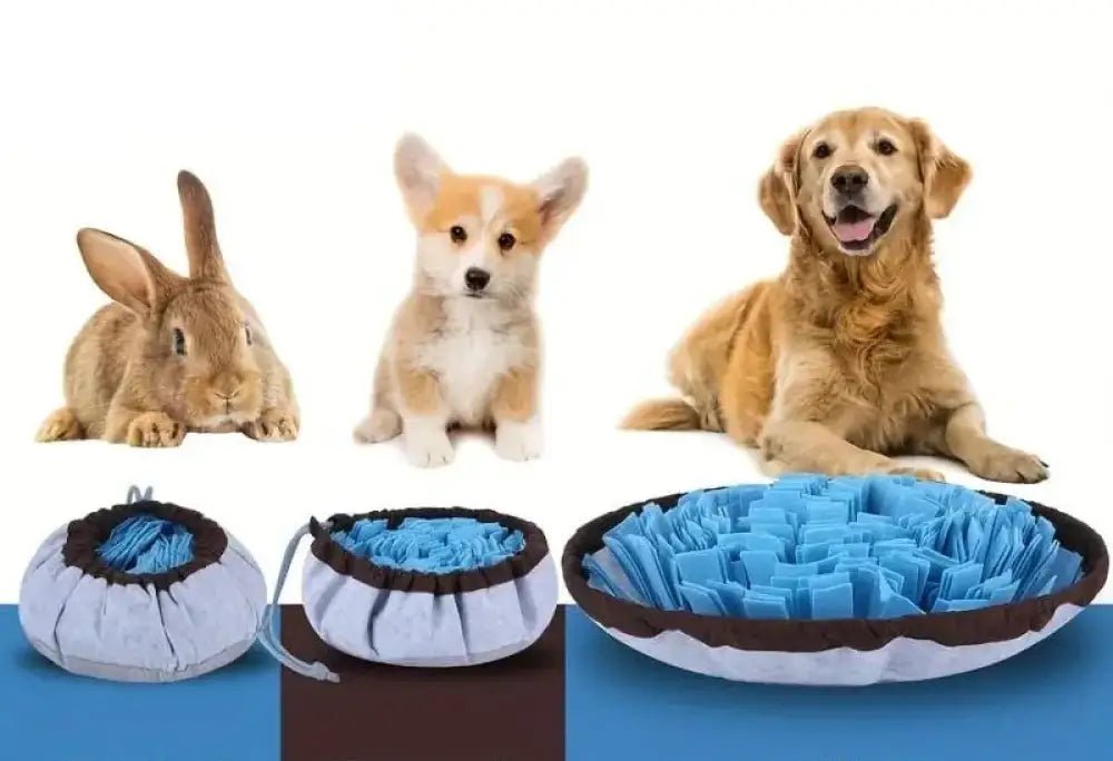 Photo d’un tapis de fouille pour chien pliable avec lien de serrage, enrichissement olfactif