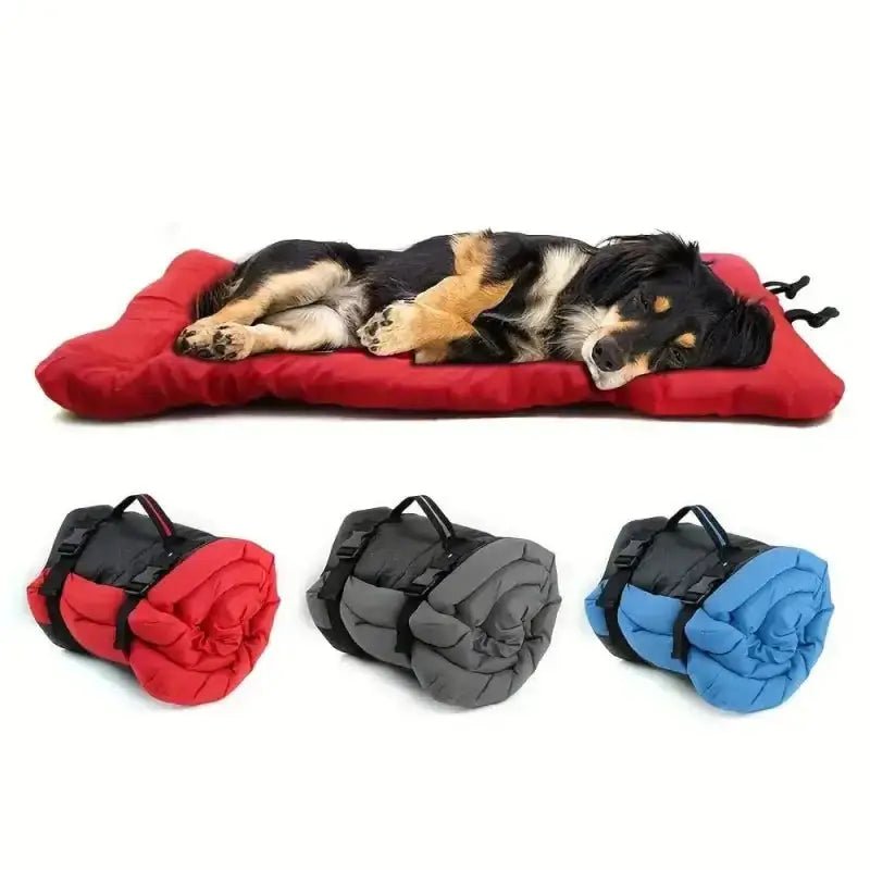 Chien dormant sur tapis pliable pour chien en voyage avec rouleaux en rouge, gris, bleu