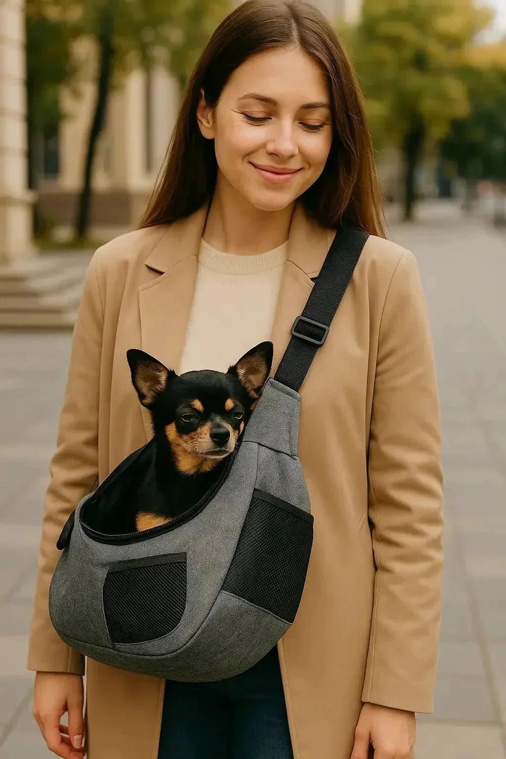 Chez Pattes Découvrez les Accessoires pour Chien Indispensables - Pattes et Trésors